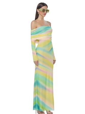 AFRM Thelma Print Off the Shoulder Long Sleeve Mesh Maxi Dress